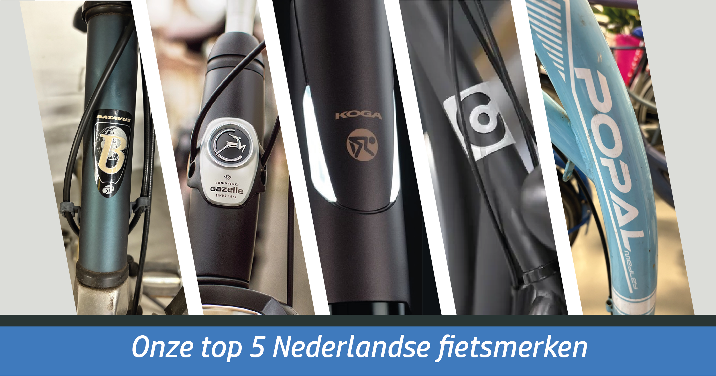 De Top 5 Beste Nederlandse Fietsmerken die Je Moet Kennen